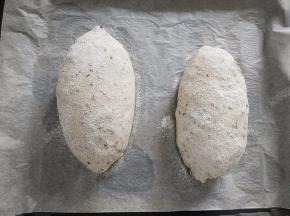 二发至两倍大，手指轻摁表面可以缓慢回弹，用细筛在表面筛少许高筋面粉
