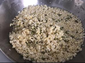 绿豆提前一天浸泡，第二天可以看到已经涨发了，接着双手搓，用水冲掉绿豆皮，重复以上步骤将绿豆完全去皮备用。