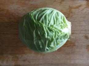 圆白菜一个。