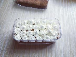 将奶油挤在蛋糕片上。