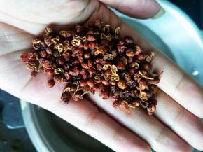 一把花椒