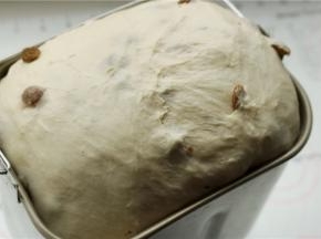 最后发酵至2.5倍大，这个天气室温就可以了。