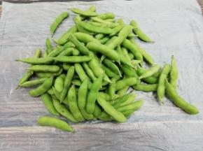 准备毛豆