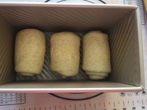 放入模具中，放入烤箱二次发酵，夏天放一碗热水在里面就可以了，不用开烤箱，发酵1小时