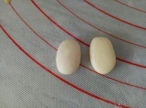 取1克白色的面团揉成椭圆形或水滴状稍微压扁一点做蜜蜂的翅膀