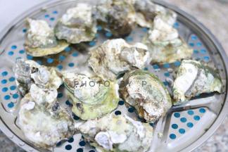 生蚝洗净，控干水份。