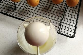 待棒棒棍凝固后，再把棒棒糖蛋糕放入融化的巧克力中，均匀的裹上一层巧克力，然后把它插入模具的小孔中待巧克力凝固晾干。