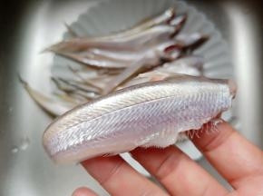 凤尾鱼记得刮干净鱼鳞。