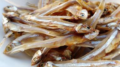 海燕鱼干做不完230克，看着一条一条的很可爱。