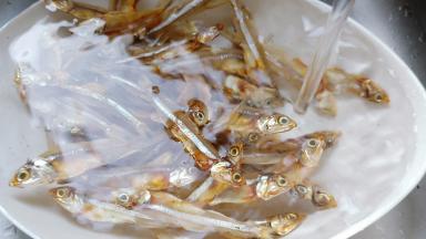 加适量清水泡发十分钟。红辣椒切成丝