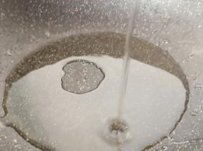 锅里加入适量的加拿大芥花油，加拿大芥花油适合各种炒菜，不会抢走其他菜的美味。