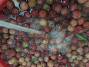 杨梅用活水冲洗干净，再用盐水浸泡一小时