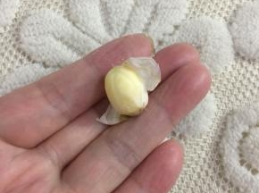 在莲子的顶部划开一个小口，用手轻轻一揉搓就可以轻松的把莲子的那层薄皮褪掉。