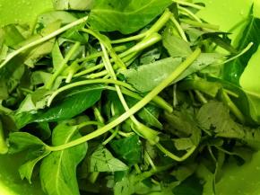 藤藤菜又名通菜可是重庆小面的标配哦
菜淘洗干净沥干水