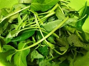 藤藤菜又名通菜可是重庆小面的标配哦
菜淘洗干净沥干水