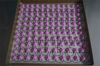 我选用了一个5齿菊花嘴，将其挤到垫了不粘油布或硅胶垫的烤盘上，保持一定间隔。放入预热好的烤箱中层上下火100度烘烤60分钟左右。