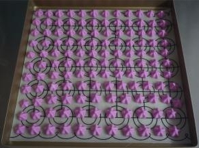 我选用了一个5齿菊花嘴，将其挤到垫了不粘油布或硅胶垫的烤盘上，保持一定间隔。放入预热好的烤箱中层上下火100度烘烤60分钟左右。