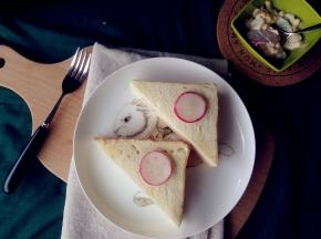 对角线切开即可