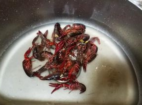 小龙虾浸泡去沙