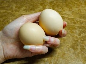 鸡蛋煮熟剥壳切碎备用