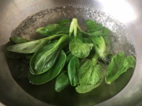 用开水焯烫一下小油菜，捞出后过凉水，备用。