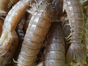 皮皮虾洗干净沥干水分