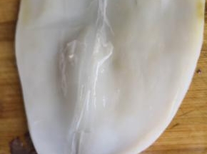 鱿鱼去除内脏，清洗干净。只用鱿鱼的身子做馅儿，头部不要。头部和须子部分有点硬不易煮烂，可以单独烤着吃或者炒着吃。