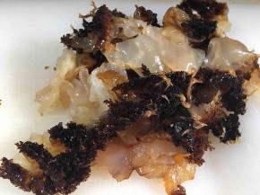 蜇头切斜刀片。