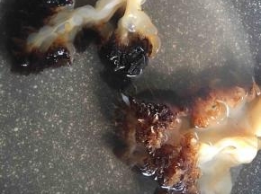 水温七十度，加入蜇头，焯烫至蜇头打卷捞出。