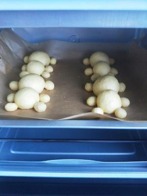 进行二次发酵。