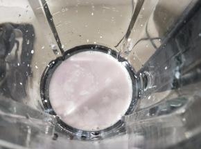 黑米粒放到破壁机中，或者其他可以打碎黑米的机器。加入牛奶和清水。