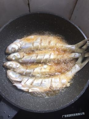 白鱼提前处理干净，在鱼身上斜划几刀，用盐腌制20分钟。锅烧热倒入适量的油，放入腌制好的白鱼中火慢慢的煎。