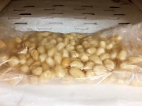 把脱好皮的花生用保鲜袋装起来送进冰箱中冷冻室1个小时