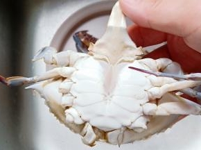 先把螃蟹的三角位置给挖去。