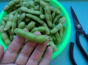 毛豆洗净，用剪刀剪去两头，便于入味。（如果懒也可以不剪）