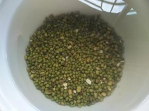 泡适量的水，放冰箱冷藏3个小时（夏天必须要冷藏）