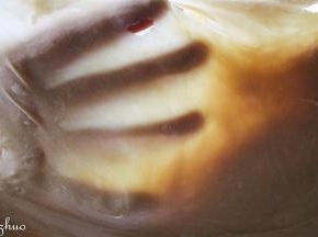 揉至手膜阶段，（手揉可把面团进行摔打，也可揉至此阶段）