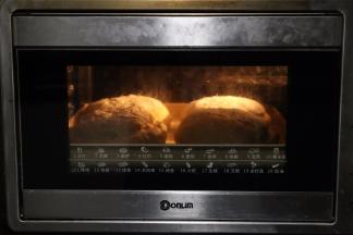 东菱烤箱230度预热10分钟后，放最底层，上下火175度30分钟。