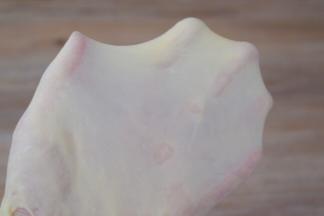 直到揉到扩展阶段，全程20分钟