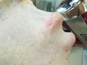 揉出厚膜时加入黄油，揉至出薄膜