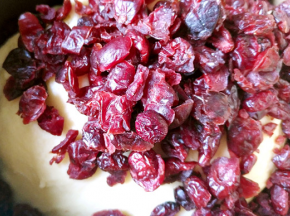 加入蔓越莓，搅拌均匀，开始第一次发酵