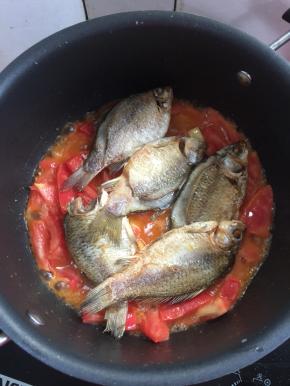 放入煎好的鲫鱼。