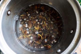 野生蛤先提前更水让其吐泥沙