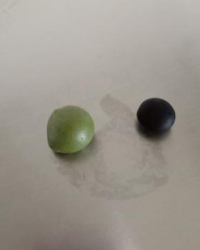 切出1克和2克的面团，分别揉进少许纯黑可可粉和菠菜粉，揉搓均匀后包保鲜袋冰箱冷藏备用