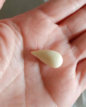 耳朵1克一个，搓小水滴，再捏出尖尖角