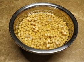 黄豆用足量水放冰箱浸泡一天
