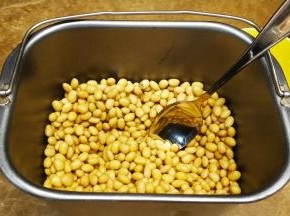 面包桶用热水高温消毒，自然沥干水后放入煮好的黄豆（黄豆要沥掉水分）
