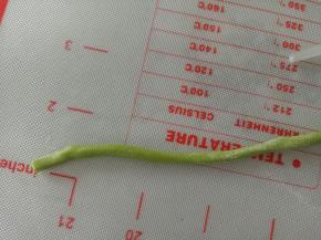 取适量绿色面团搓长条，做来做西瓜的藤蔓