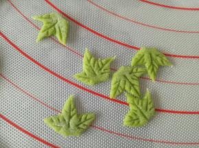 用刮板压出叶子的纹理来