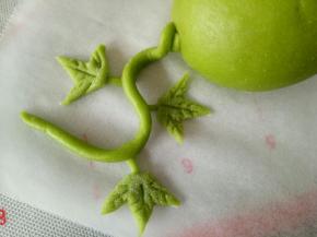 粘合到西瓜藤上面